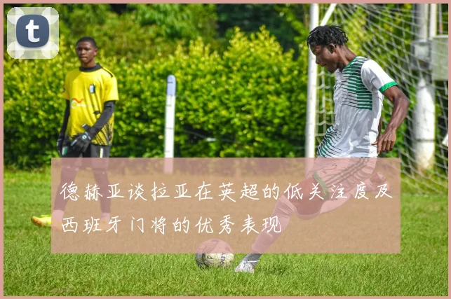 德赫亚谈拉亚在英超的低关注度及西班牙门将的优秀表现